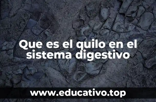 Que es el quilo en el sistema digestivo