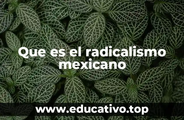 Que es el radicalismo mexicano