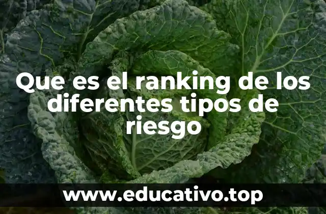 Cómo se estructura un ranking de riesgos