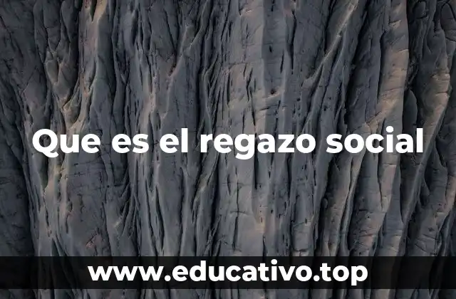 Que es el regazo social