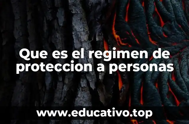 Que es el regimen de proteccion a personas