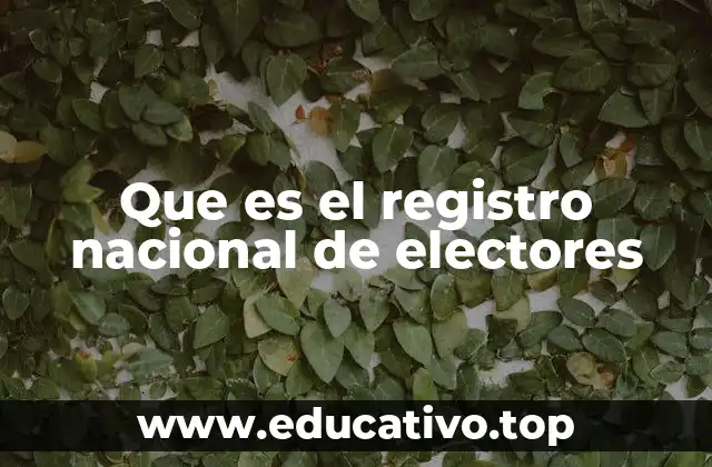 Que es el registro nacional de electores