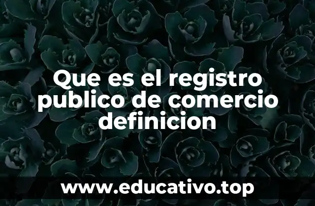 Que es el registro publico de comercio definicion