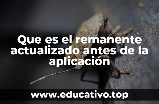 Que es el remanente actualizado antes de la aplicación