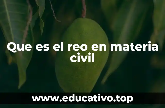 Que es el reo en materia civil