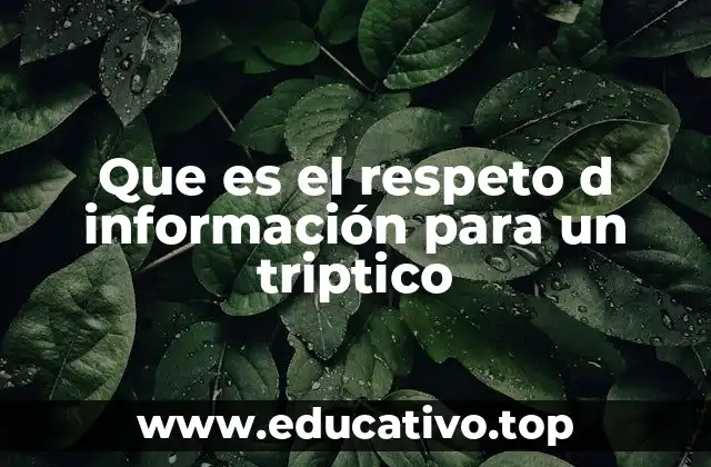 Que es el respeto d información para un triptico