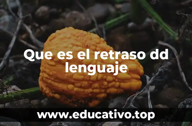 Que es el retraso dd lenguaje