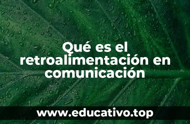 Qué es el retroalimentación en comunicación