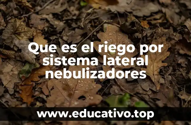 Que es el riego por sistema lateral nebulizadores