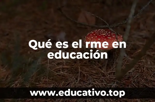 Qué es el rme en educación