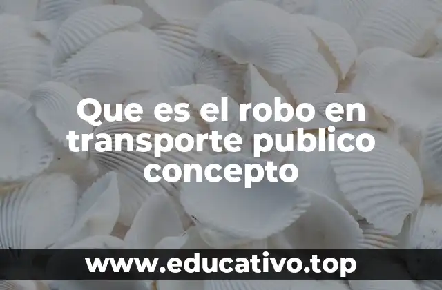 Que es el robo en transporte publico concepto