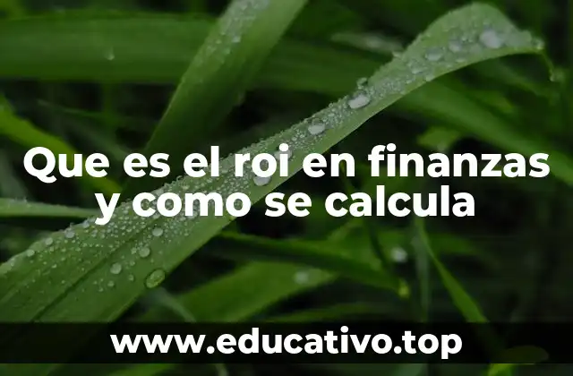 Que es el roi en finanzas y como se calcula