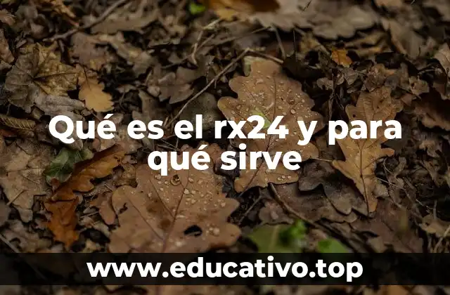 Qué es el rx24 y para qué sirve