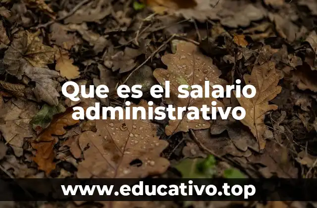 Que es el salario administrativo
