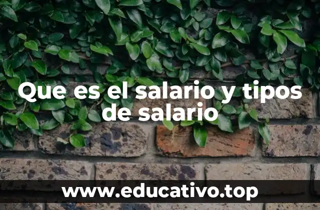Que es el salario y tipos de salario
