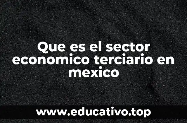 Que es el sector economico terciario en mexico