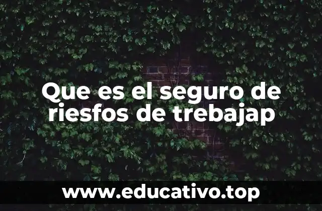 Protección integral en el entorno laboral