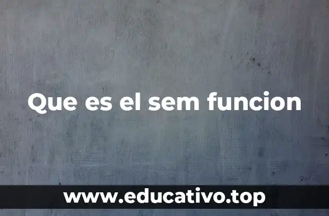 Que es el sem funcion