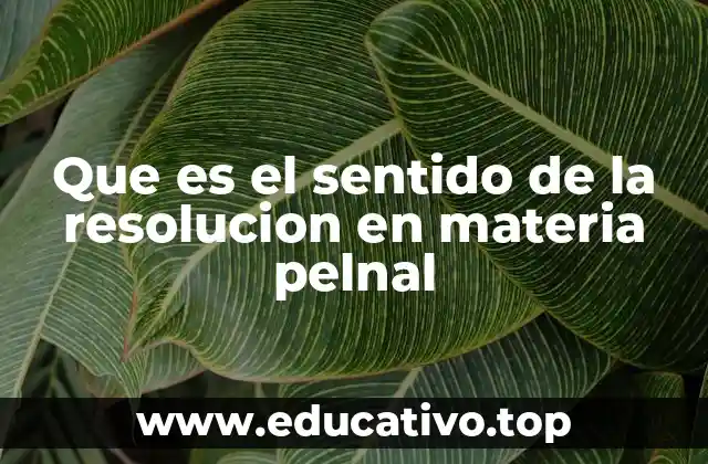 Que es el sentido de la resolucion en materia pelnal