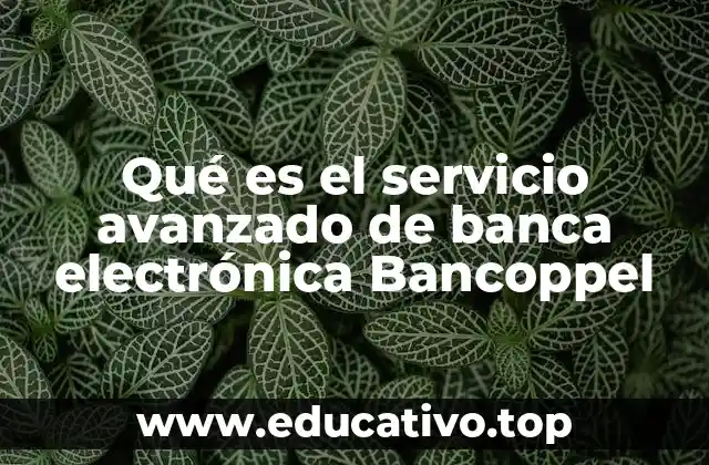 Ventajas de contar con una plataforma de banca digital