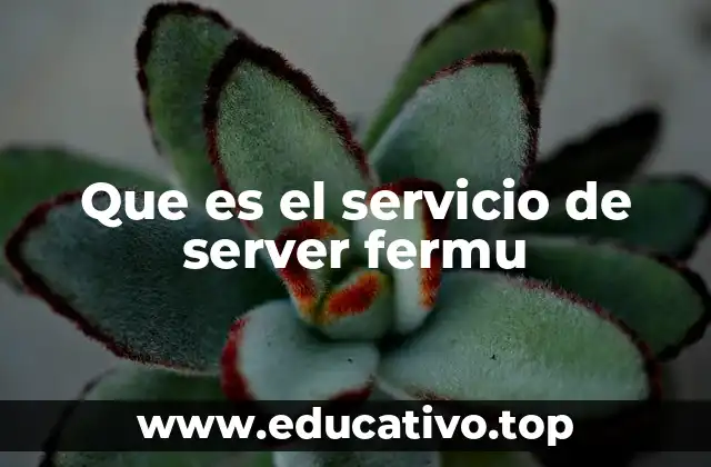 Que es el servicio de server fermu