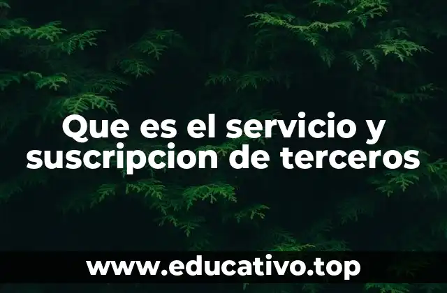 Que es el servicio y suscripcion de terceros
