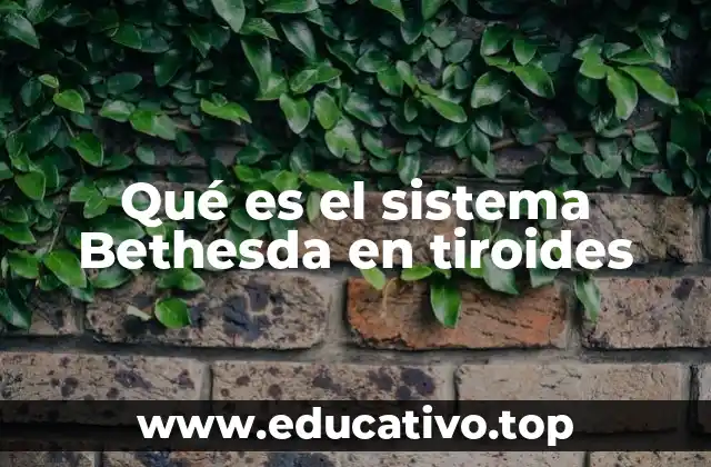 Qué es el sistema Bethesda en tiroides