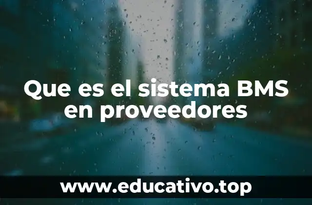 Que es el sistema BMS en proveedores