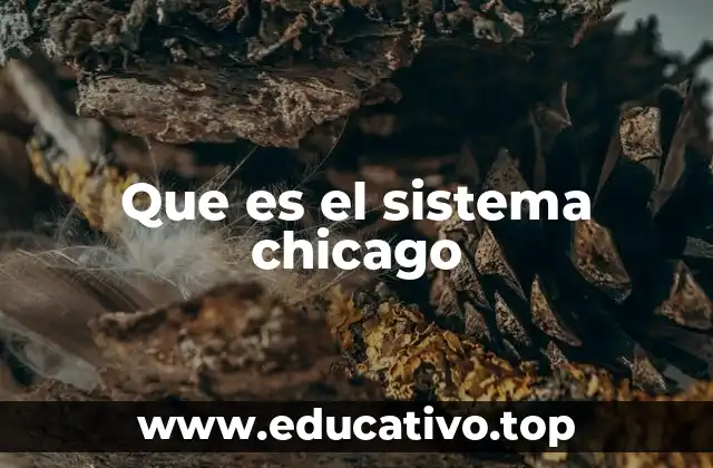 Cómo el sistema Chicago influye en la edición académica