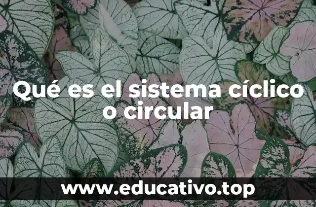 Qué es el sistema cíclico o circular