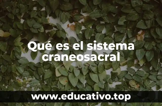 El sistema craneosacral y su relación con la salud del sistema nervioso