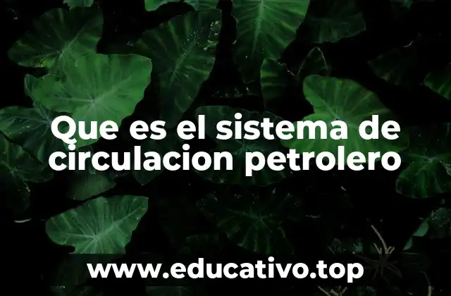 Que es el sistema de circulacion petrolero