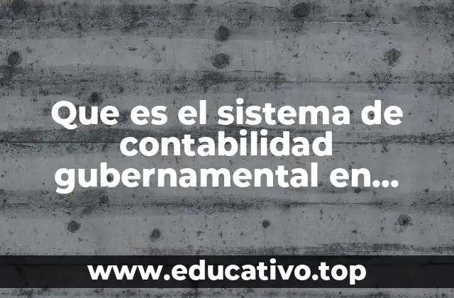 Estructura y características del sistema contable gubernamental