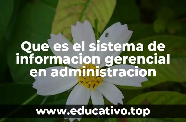 Que es el sistema de informacion gerencial en administracion