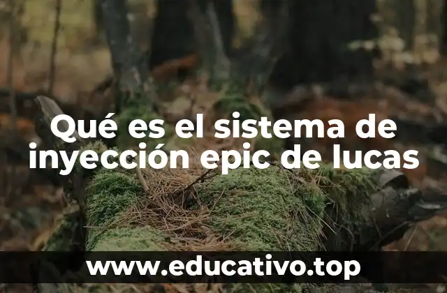 Qué es el sistema de inyección epic de lucas