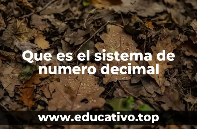 El sistema de número decimal en la vida cotidiana