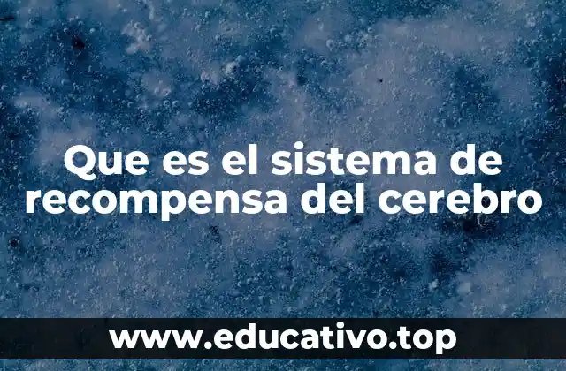 Que es el sistema de recompensa del cerebro