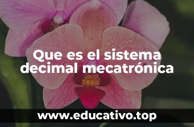 Que es el sistema decimal mecatrónica