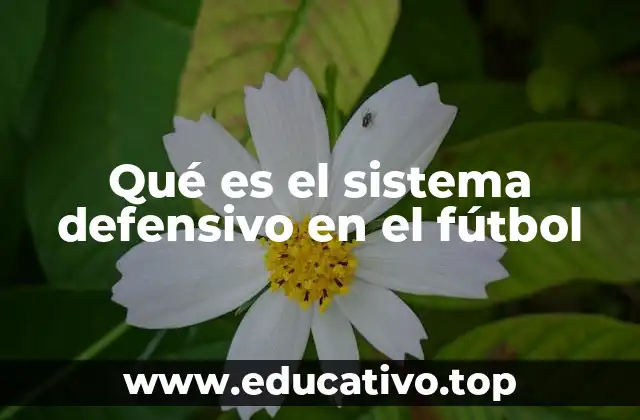 Qué es el sistema defensivo en el fútbol
