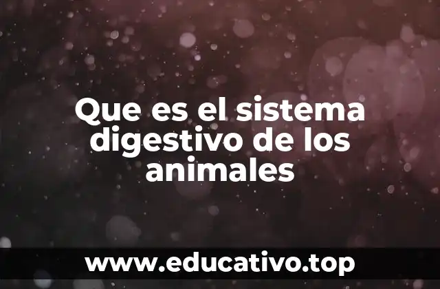 El papel del sistema digestivo en la supervivencia animal