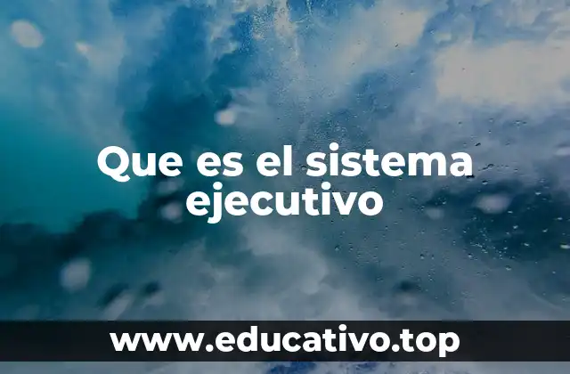 Que es el sistema ejecutivo