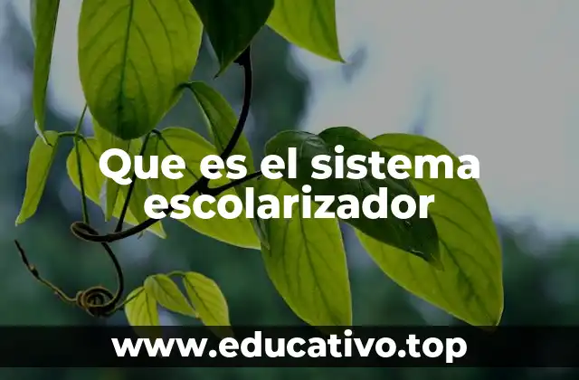 Que es el sistema escolarizador