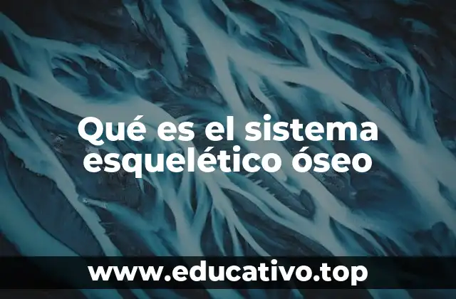 Qué es el sistema esquelético óseo