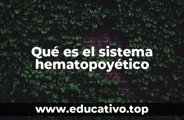 El funcionamiento del sistema hematopoyético