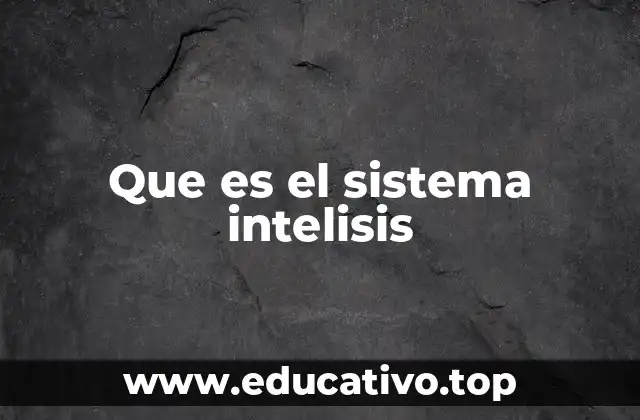Que es el sistema intelisis