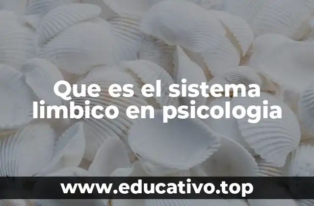 Que es el sistema limbico en psicologia