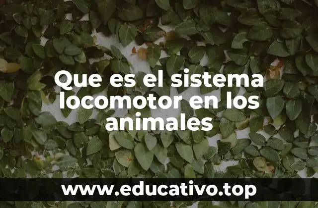 El rol del movimiento en la evolución animal