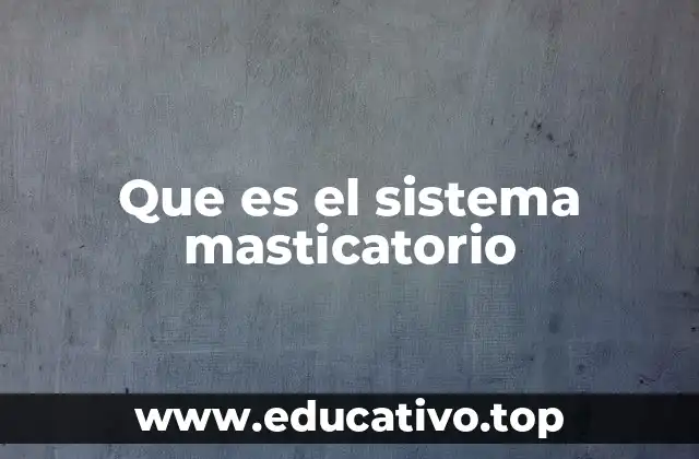 Que es el sistema masticatorio