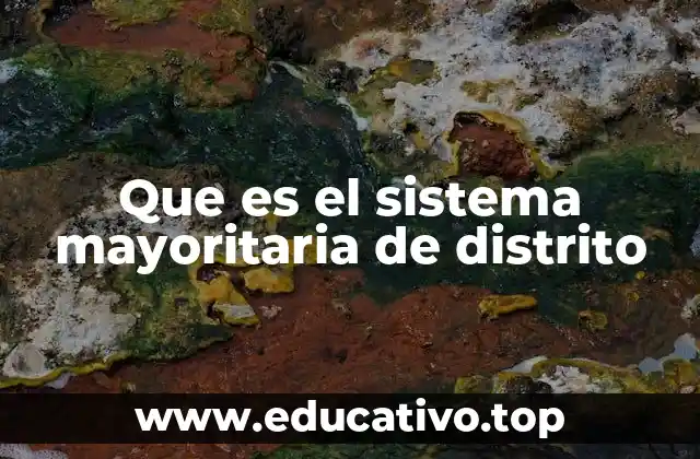 Características del sistema electoral de distrito único