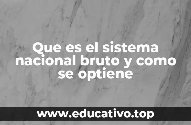 Que es el sistema nacional bruto y como se optiene
